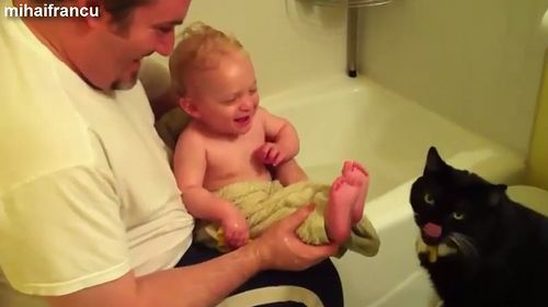Cats_Love_Babies_Compilation.jpg