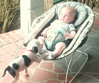 Eisleigh_and_Clyde.jpg