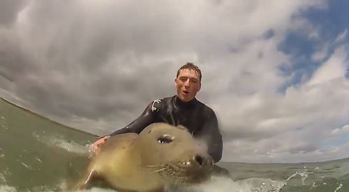 Surfings_Got_This_Little_Guys_Seal_of_Approval.jpg