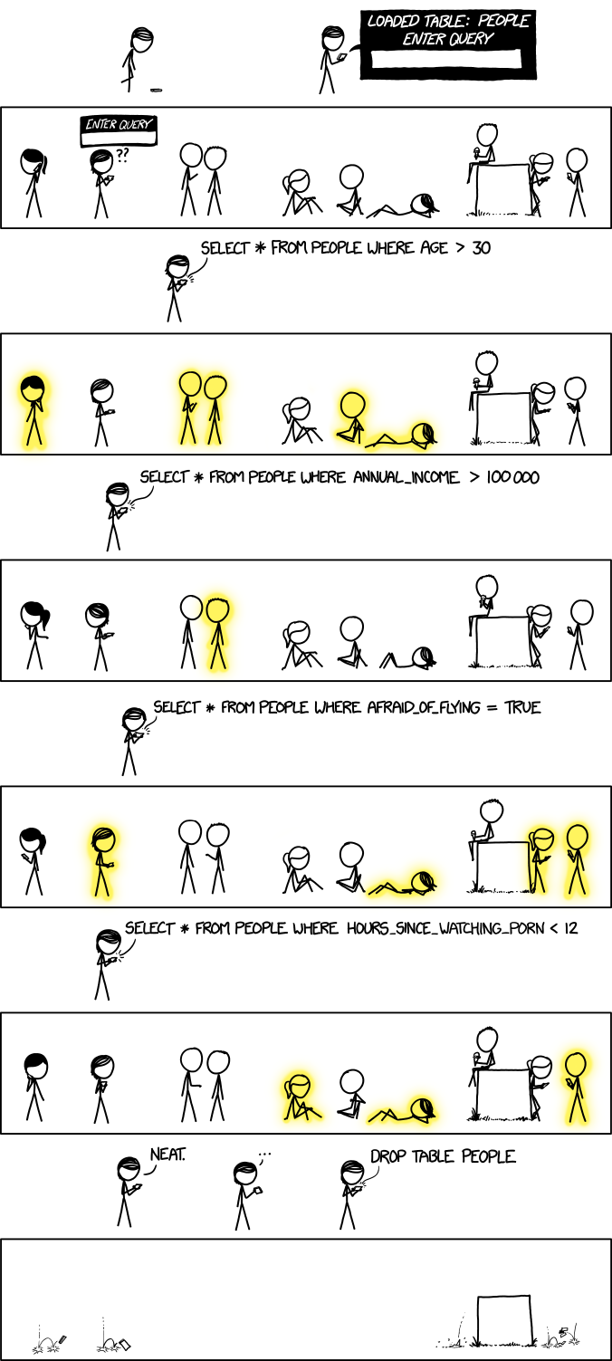 query.png