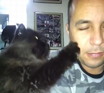 Cat_Demands_More_Petting.jpg