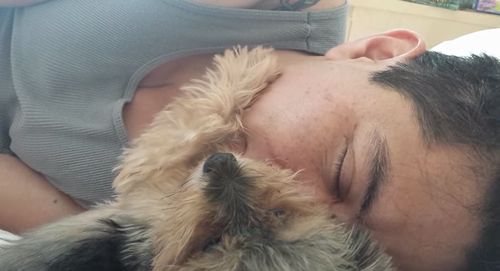 Little_Yorkie_petting_his_human.jpg