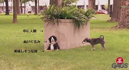 Stuffed_Dog_Attacks_Real_Dog.jpg
