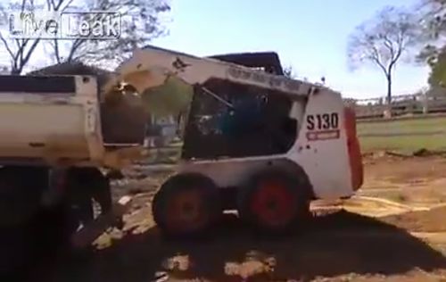 bobcat_driver_level_100_agility.jpg