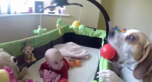 Charlie_Surprised_Little_Sister_Laura.jpg