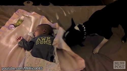 Dogs_Tucking_Babies_Into_Bed.jpg