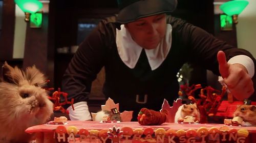 A_Tiny_Hamster_Thanksgiving.jpg