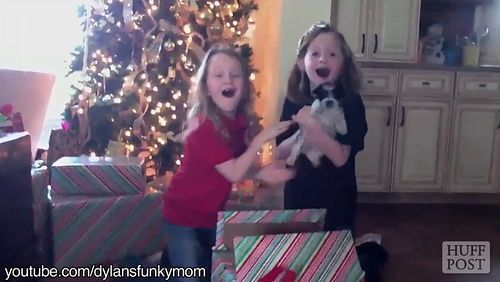 Puppy_Presents_Bring_Tears_Of_Joy.jpg