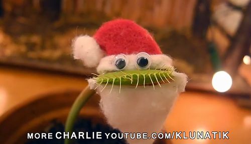 MERRY_CHRISTMAS_from_Charlie.jpg