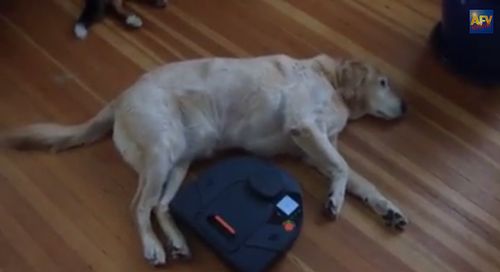 Robot_Vacuum.jpg