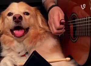 Maple_thought_my_vines_needed_more_cowbell.jpg