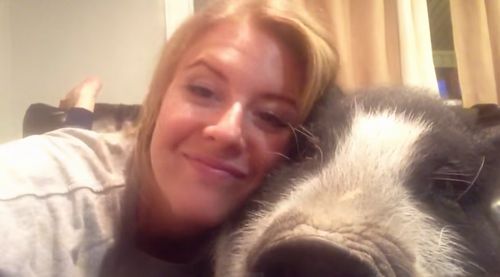 Virginia_the_Grumble_Pig.jpg