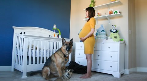 Pregnant_to_Baby_in_90_seconds.png