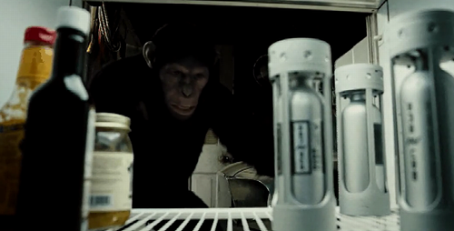 in_the_fridge.png