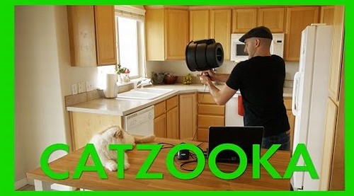 catzooka.png