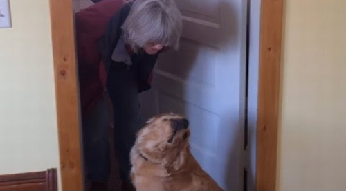 Dog_Refuses_to_Kiss_Her_Owner.png