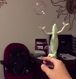 LAURA_LIKES_TO_POP_BUBBLES.png