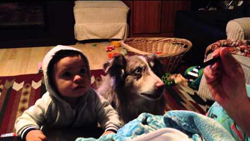 Dog_says_mama.png