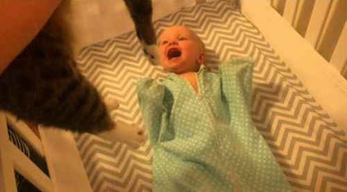baby_laves_cat.png