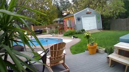Black_Cat_Pushes_Orange_Cat_into_Pool.png