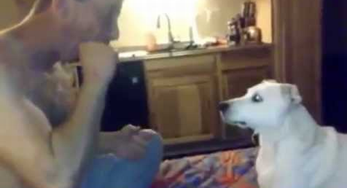 Dog_Is_Completely_Baffled_By_Magic_Trick.png