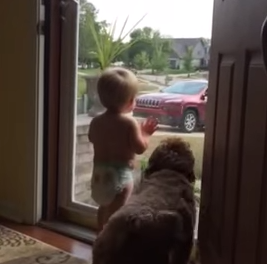 Toddler_and_dog.png