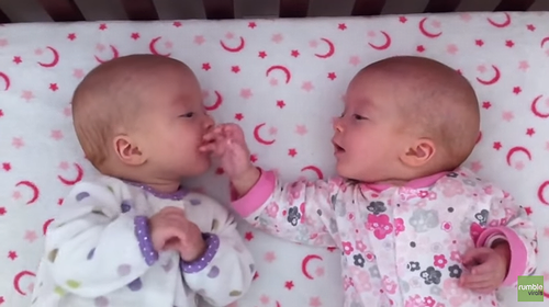 Identical_twin_girls_engage_in_deep_conversation.png