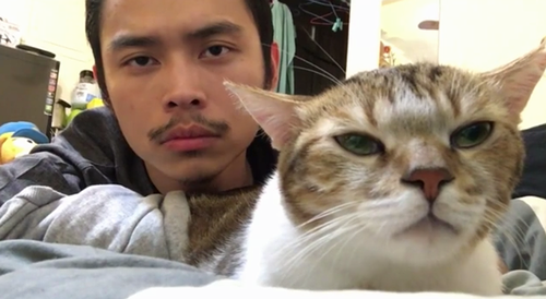 Hotline_Bling_Cat.png