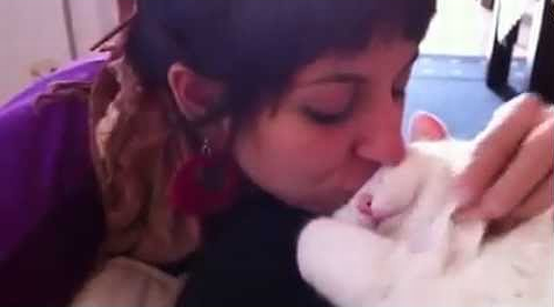 cat_meows.png