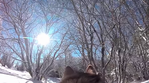 GoPro_Our_Snowy_Wedding.png