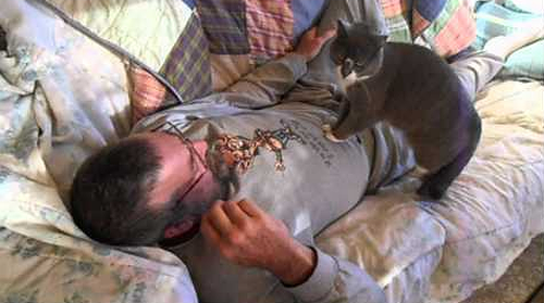 Cat_Gives_Man_CPR.png