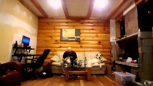 My_dog_likes_to_look_at_me.png