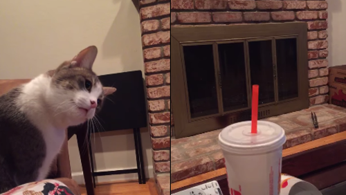 potetos_straw.png