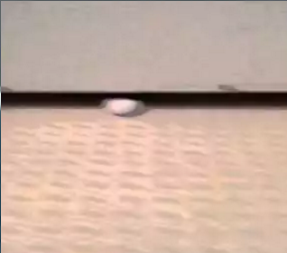 hidden_kitty.png