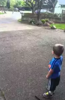 2_year_old_talks_to_turkeys.png