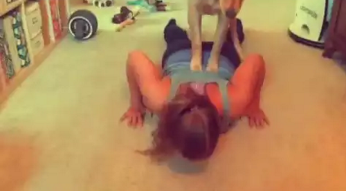 Working_Out_with_Sadie.png