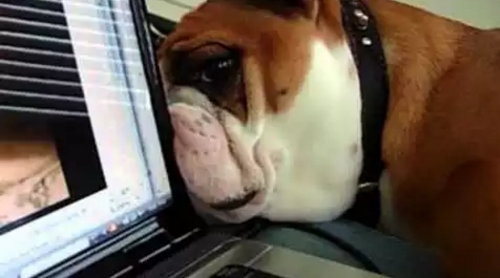 animal_vs_tech.png