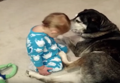 Sleepy_Baby_Cuddles_with_Dog.png