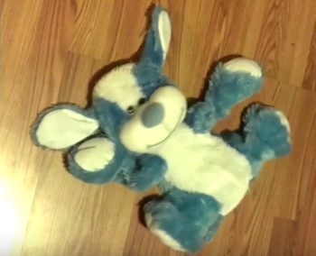 ferret_causes_dog_toy.png