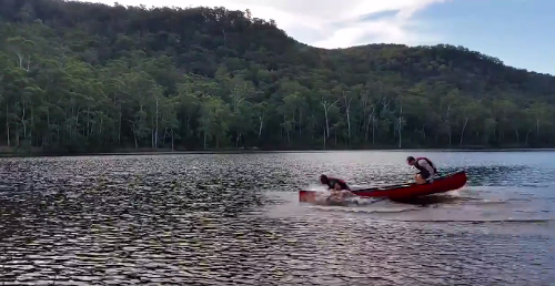 paddleless.png