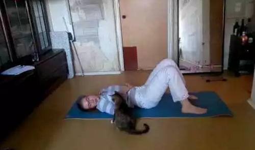 cat_and_execise.png