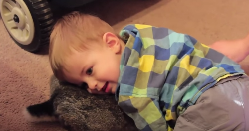 toddler_rabbit.png