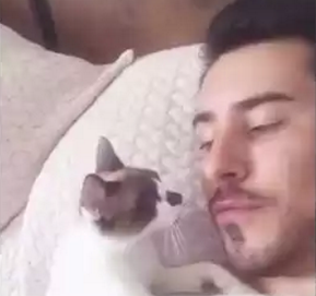 kiten_love.png