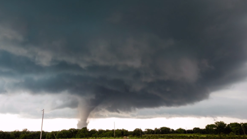 vorticity.png