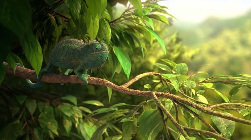 the_common_Chameleon.png
