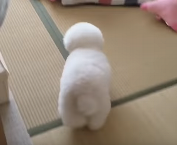 Ernie_yuruyuru.png
