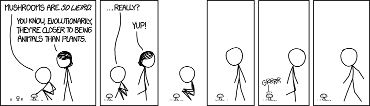 mushrooms.png
