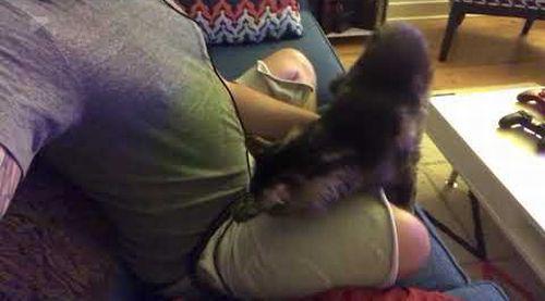 Stalking_kitty_ready_to_snuggle.jpg