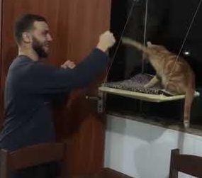 Cat_and_Man_Pretend_to_Box.jpg