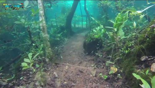 Heavy_rain_leaves_trail.jpg